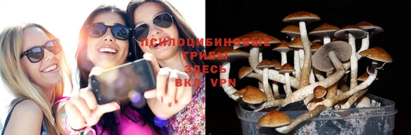 а пвп мука Алексин