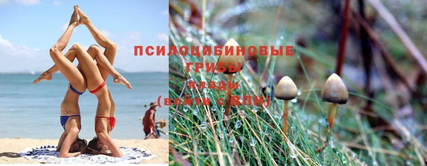 каннабис Алзамай