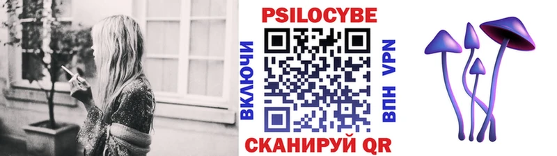 mega ТОР  Хвалынск  Псилоцибиновые грибы Psilocybine cubensis 